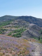 Mount_St._Helens