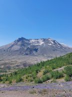 Mount_St._Helens